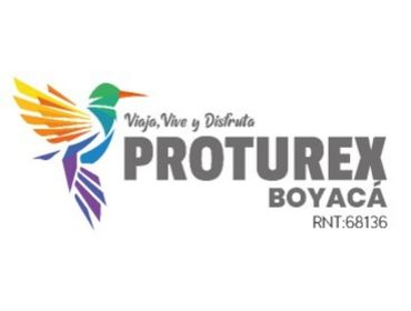 PROTUREX